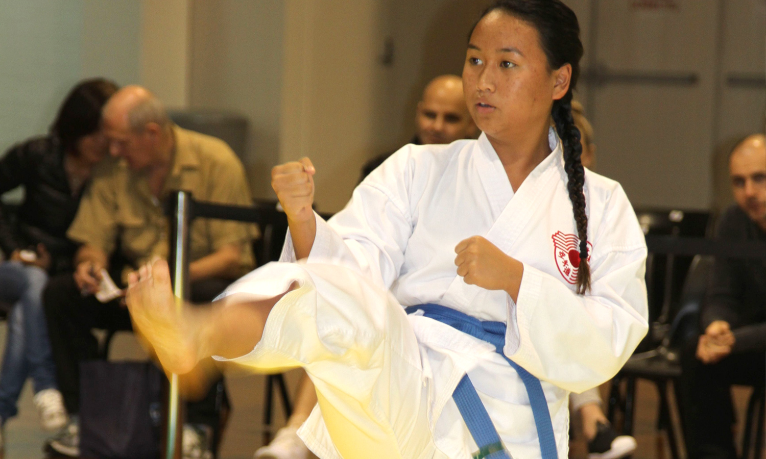 Karate for Teens and Adults